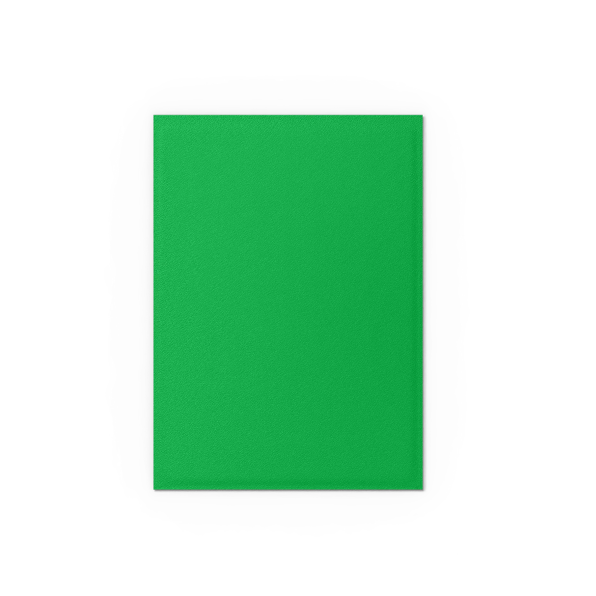 Apple Green & Silver - Matte Dual Sleeves - Image 4