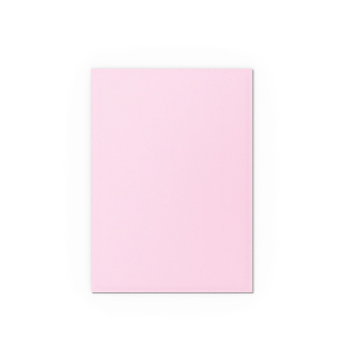 Blossom - Pastel Duals - Image 3
