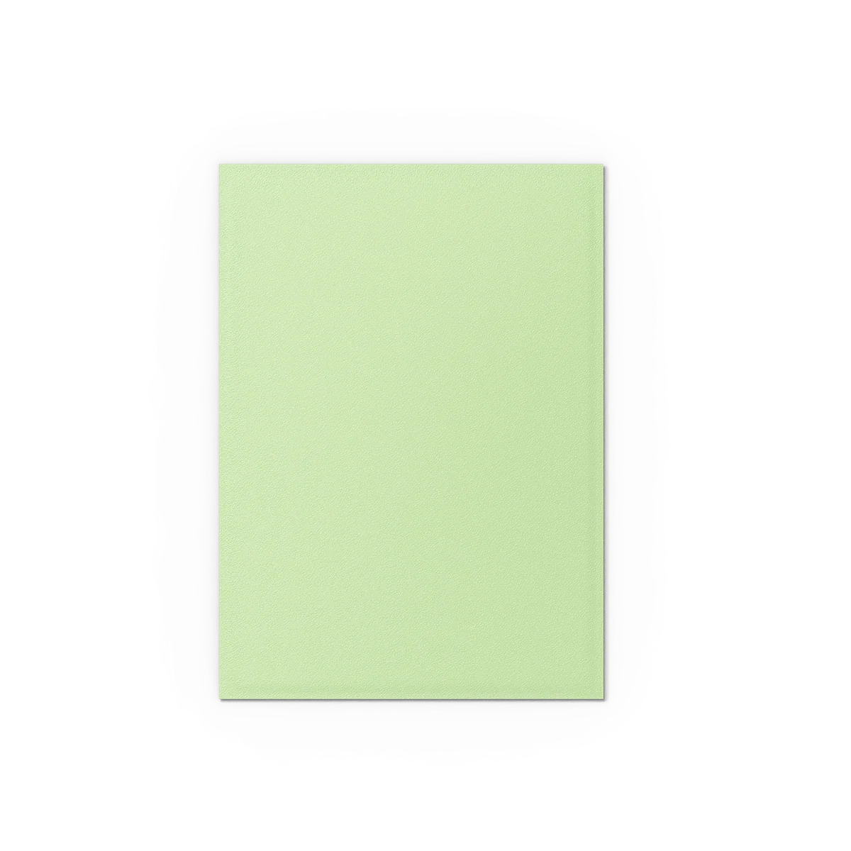 Gooseberry - Pastel Duals - Image 3