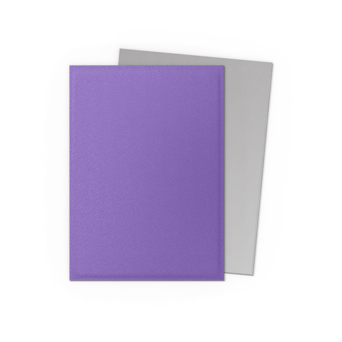 Nebula & Silver - Matte Dual Sleeves - Image 2