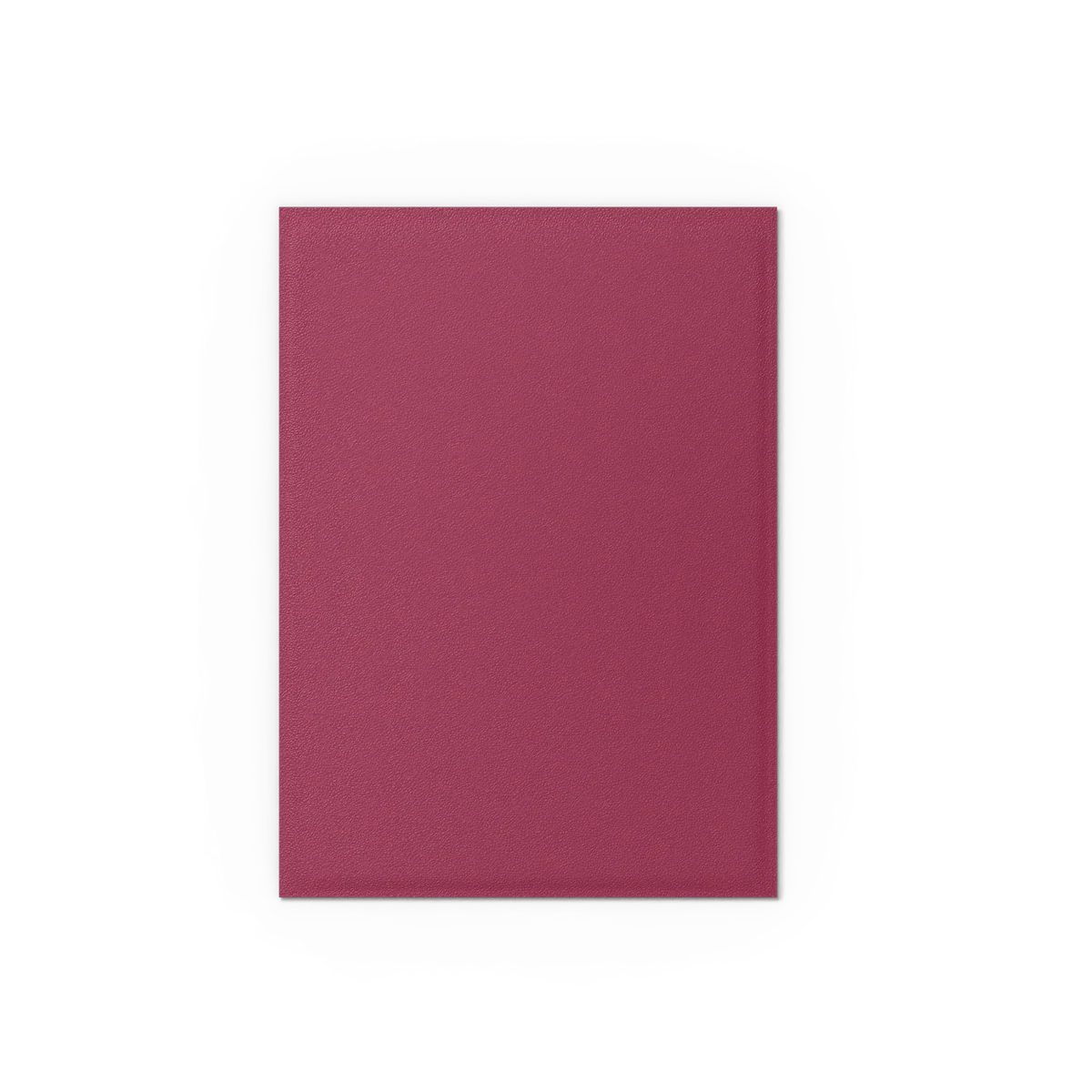 Pomegranate & Gold - Matte Dual Sleeves - Image 2