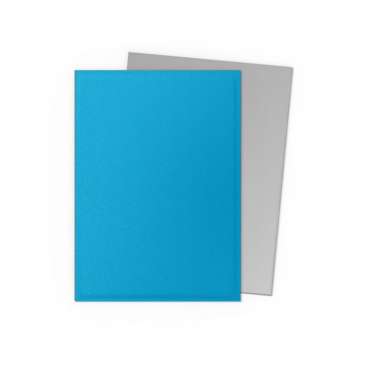 Sky Blue & Silver - Matte Dual Sleeves - Image 2