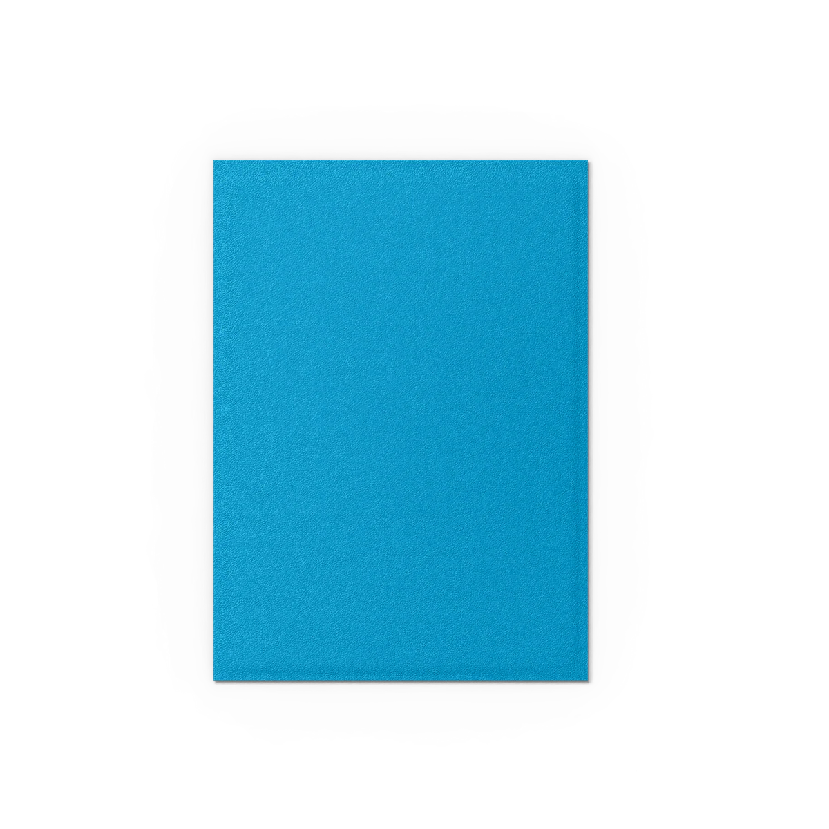 Sky Blue & Silver - Matte Dual Sleeves - Image 4